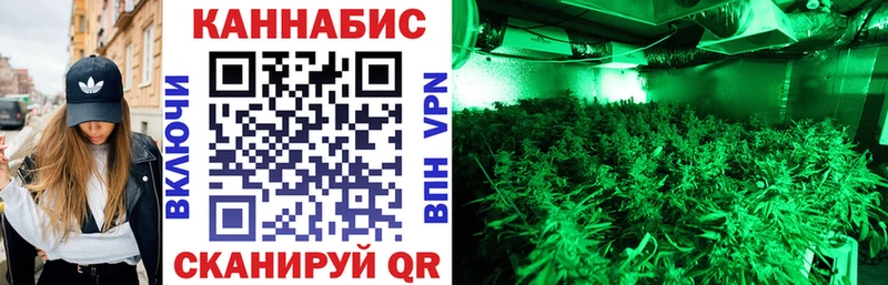 наркота  Петровск-Забайкальский  Каннабис ГИДРОПОН 